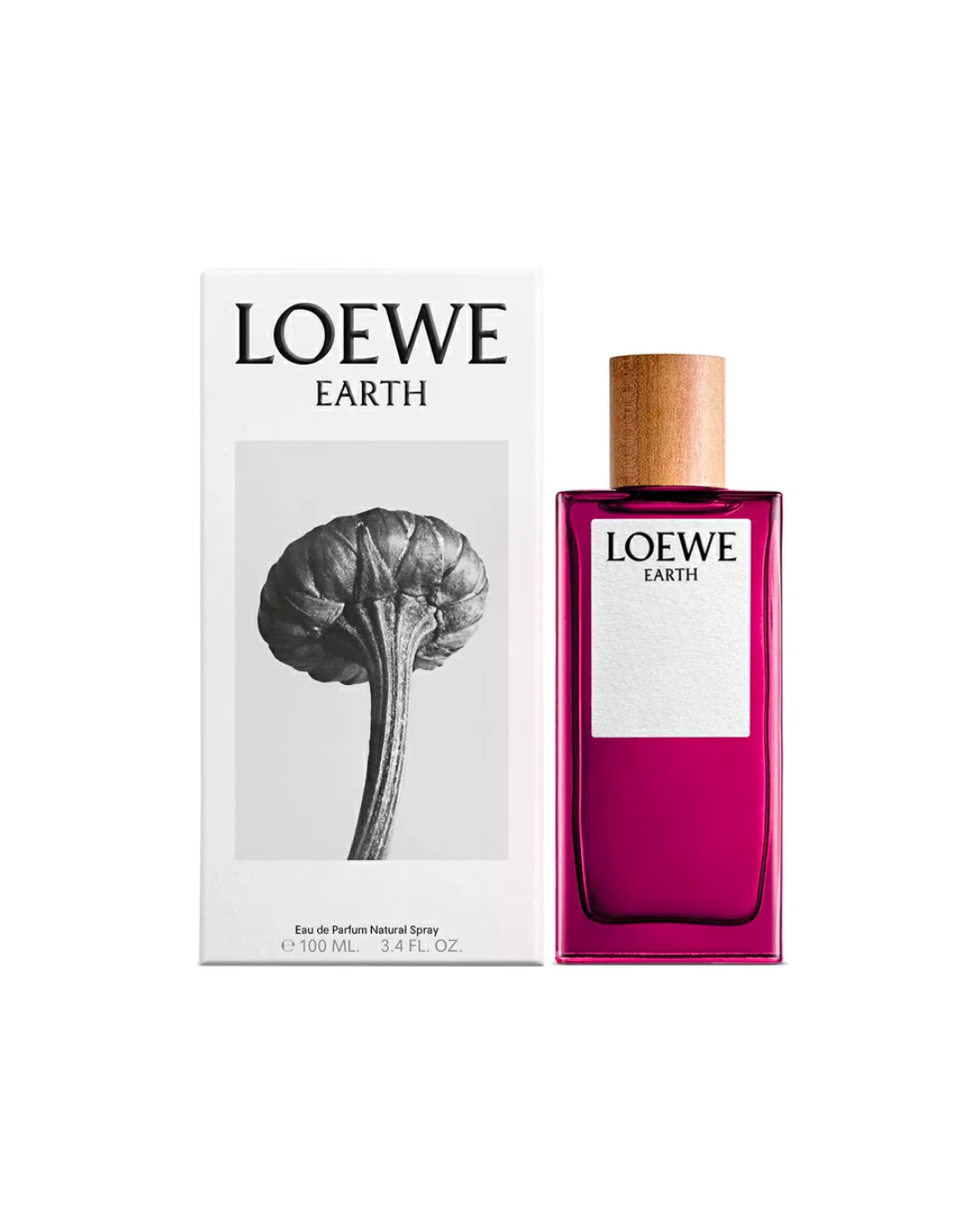 EARTH LOEWE