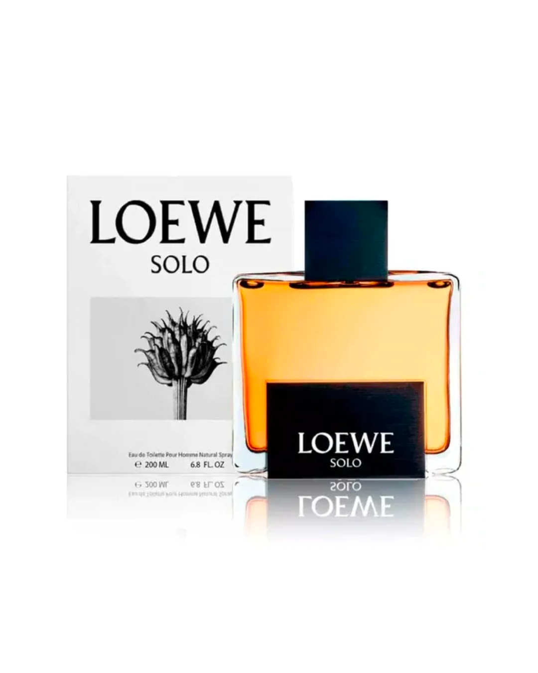 SOLO LOEWE