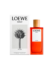 SOLO LOEWE ATLAS