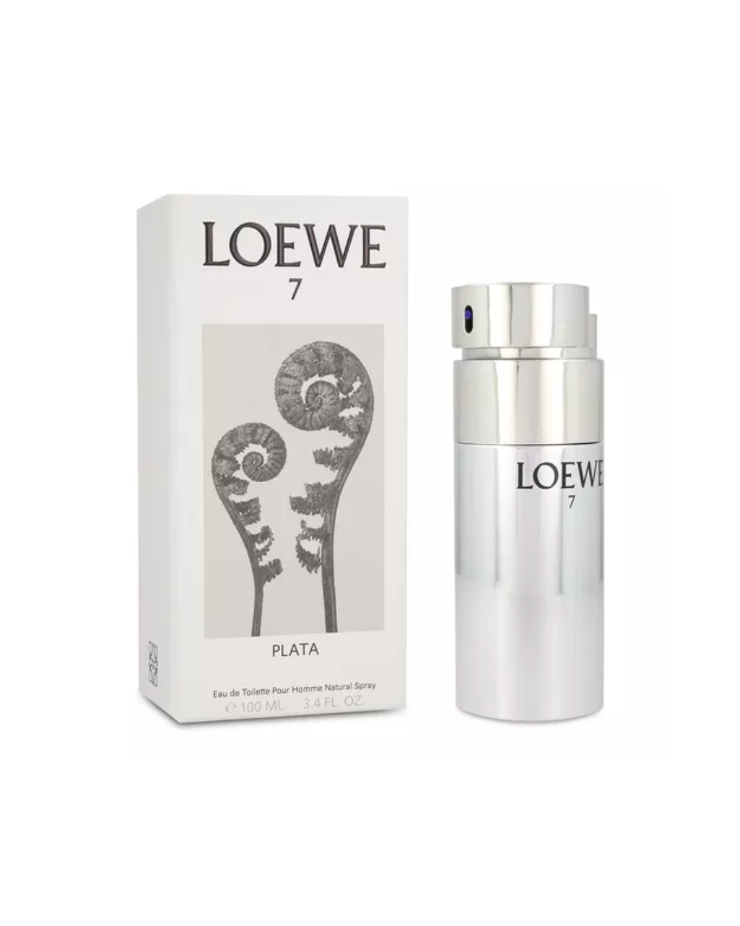 7 LOEWE PLATA